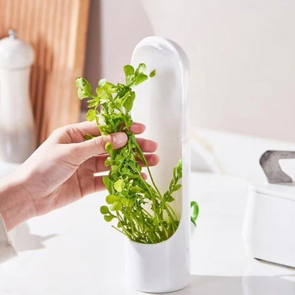 Boite de conservation alimentaire | Hermétique Fraîcheur - cuisine inspirante