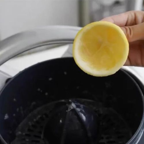 PRESSE AGRUME - JUICEBOT pour Thermomix - cuisine inspirante