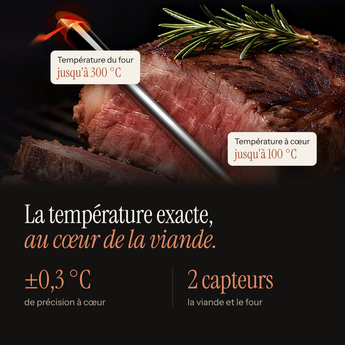 Sonde à deux capteurs plantée dans un rôti de bœuf, précision de ±0,3 °C à cœur